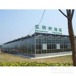 陽泉四季恒溫攝影基地玻璃溫室大棚工程中的計算機軟件設計